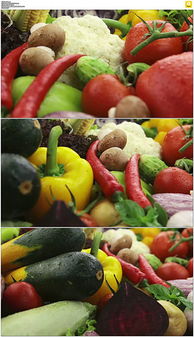 华南农业蔬菜水果种植栽培视频图片设计素材 高清模板下载 62.86MB 生产制造大全